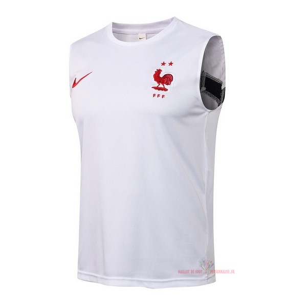 Maillot Om Pas Cher Nike Entrainement Sin Mangas France 2021 Blanc