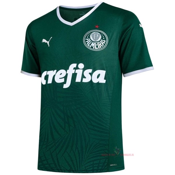 Maillot Om Pas Cher PUMA Thailande Domicile Camiseta Palmeiras 2022 2023 Vert